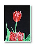 Endurance in Darkness - Love and Art ... Greeting Cards