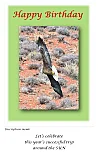 Touching the Canyon Floor - Happy Days ... Greeting Cards