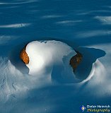 White Saddle - Gallery 3.2  Landscapes