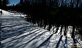 Hiking the shadowy snow trail - Gallery 3.2  Landscapes