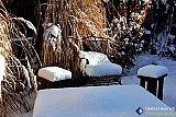 First snow of 2024 - Gallery 4.3 Just for FUN