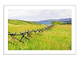 Western Fence Meadows - Share the Moment ... Note Cards