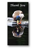 Talk to the Duck - Thank You ...  Note Cards