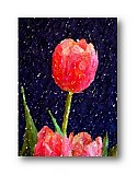 Softness of Spring - Happy Days ... Note Cards