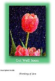 Softness of Spring - Healthy Wealthy & Wise ...  Note Cards