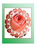 First Kiss - Friendship ... Note Cards