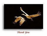 On the Wings of Poetry - Thank You ...  Note Cards