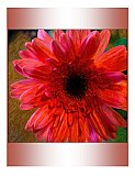 Energy to Share - Share the Moment ... Note Cards