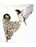 On my first flight - Share the Moment ... Note Cards