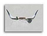 The Spirit of Texas Longhorn - Paintings  Drawings & Art ...  Note Cards