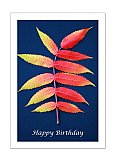 A Leaf of September - Happy Days ... Greeting Cards