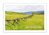 Western Fence Meadows - Healthy Wealthy & Wise ... Greeting Cards