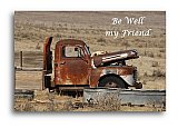 Two old Coyote at Rest - Healthy Wealthy & Wise ... Greeting Cards