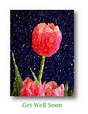 Softness of Spring - Healthy Wealthy & Wise ...  Note Cards