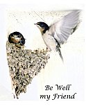 On my first flight - Healthy Wealthy & Wise ...  Note Cards