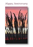 Tall grass in the early Colorado morning sky - Happy Days ... Greeting Cards