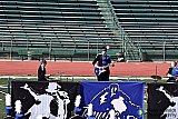 Cedaredge High School &mdash; photo 222 - Cedaredge HS Marching Band