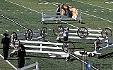 Pueblo County High School &mdash; photo 60 - Pueblo County HS Marching Band