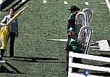 Pueblo County High School &mdash; photo 15 - Pueblo County HS Marching Band