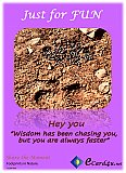 Footprints in Nature - Just for FUN ... Ecard4u